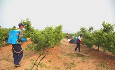 世代海洋生物科技 以科技與創新為雙翼，引領海帶行業與生物有機肥研發新篇章